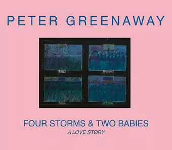 Four Storms & Two Babies cover