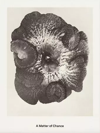 A Matter of Chance cover