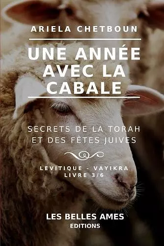 Une année avec la Cabale. Secrets de la Torah et des fêtes juives cover