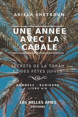 Une année avec la Cabale. Secrets de la Torah et des fêtes juives cover