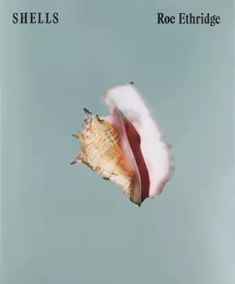 SHELLS cover