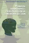 Perinatal Brain Damage cover