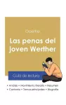 Guía de lectura Las penas del joven Werther de Goethe (análisis literario de referencia y resumen completo) cover