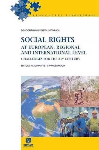 Social Rights at European, Regional and International Level cover