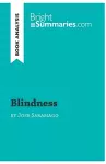 Blindness by José Saramago (Book Analysis) cover