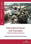 Intercultural Issues and Concepts cover