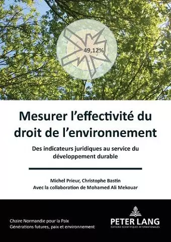 Mesurer l'effectivité du droit de l'environnement cover