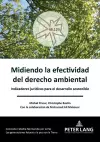 Midiendo la efectividad del derecho ambiental cover