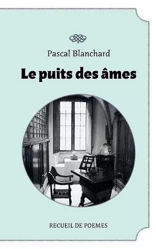 Le puit des âmes cover