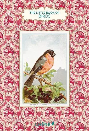 Little Book of Birds cover