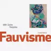 Fauvisme cover