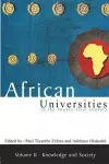 African universities in the twenty-first Century: Volume 2 cover