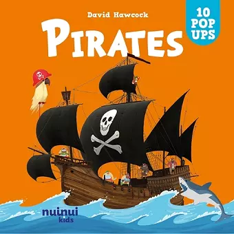Pirates cover