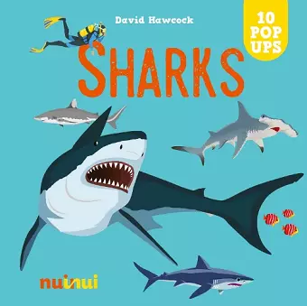 Sharks cover