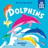 Dolphins cover