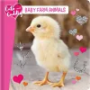 Cute and Cuddly: Baby Farm Animals cover