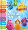 Sunny Bunnies: My Book of Feelings cover