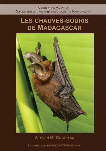 Les Chauves–Souris de Madagascar cover