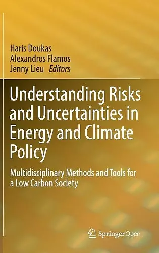 Understanding Risks and Uncertainties in Energy and Climate Policy cover