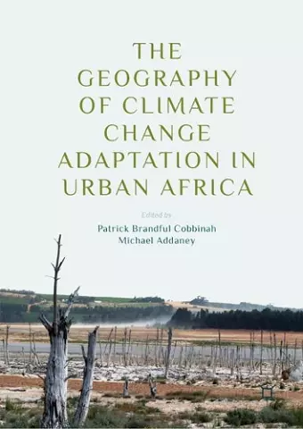 The Geography of Climate Change Adaptation in Urban Africa cover