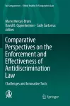 Comparative Perspectives on the Enforcement and Effectiveness of Antidiscrimination Law cover