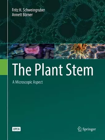 The Plant Stem cover