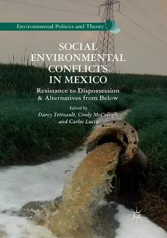 Social Environmental Conflicts in Mexico cover