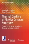 Thermal Cracking of Massive Concrete Structures cover