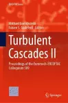 Turbulent Cascades II cover