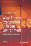 Wind Energy Exploitation in Urban Environment cover