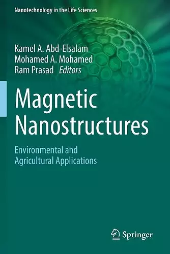 Magnetic Nanostructures cover
