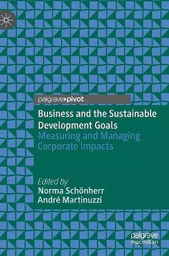 Business and the Sustainable Development Goals cover