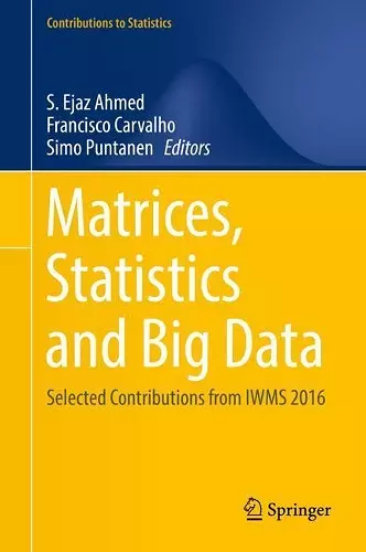 Matrices, Statistics and Big Data cover