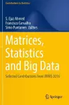 Matrices, Statistics and Big Data cover