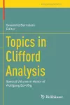 Topics in Clifford Analysis cover