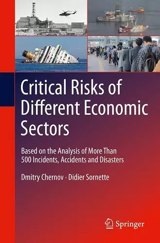 Critical  Risks of Different Economic Sectors cover