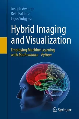 Hybrid Imaging and Visualization cover