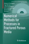 Numerical Methods for Processes in Fractured Porous Media cover