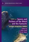 Spaces and Fictions of the Weird and the Fantastic cover