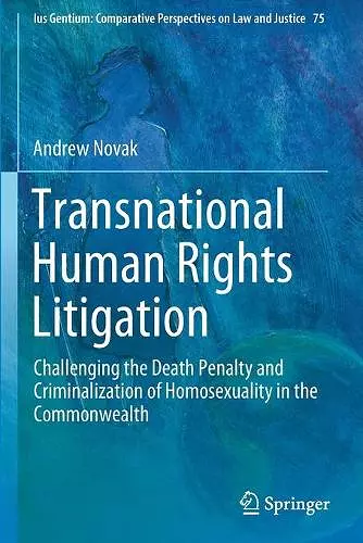 Transnational Human Rights Litigation cover