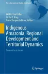 Indigenous Amazonia, Regional Development and Territorial Dynamics cover