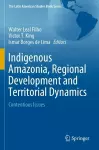 Indigenous Amazonia, Regional Development and Territorial Dynamics cover