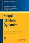 Singular Random Dynamics cover