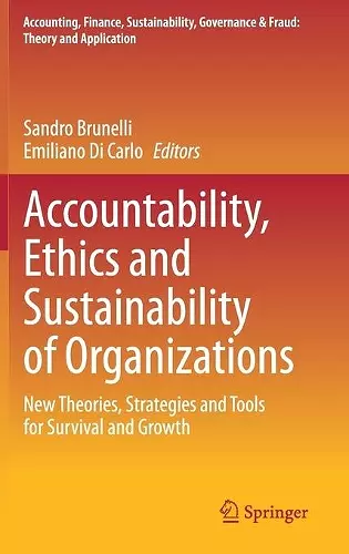 Accountability, Ethics and Sustainability of Organizations cover