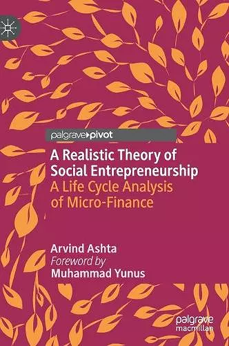 A Realistic Theory of Social Entrepreneurship cover