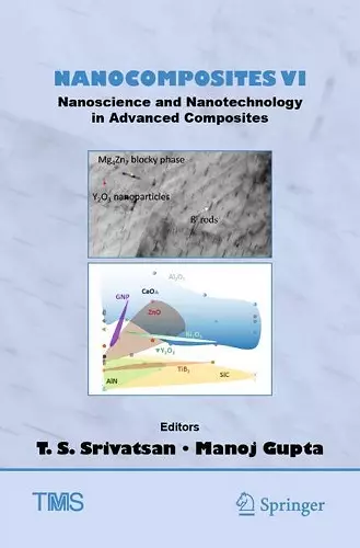 Nanocomposites VI: Nanoscience and Nanotechnology in Advanced Composites cover