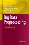 Big Data Preprocessing cover