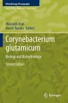 Corynebacterium glutamicum cover