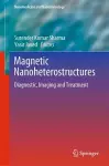 Magnetic Nanoheterostructures cover