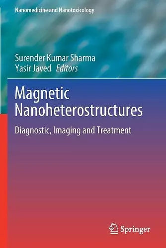 Magnetic Nanoheterostructures cover